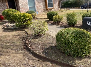 Bush Trimming by Nelson Rhoades for Eric B. in Watauga, TX