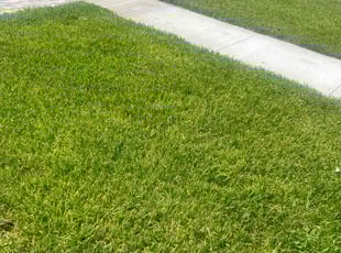 Josh C.'s Lawn Service service result