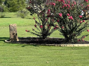 Philip M.'s Lawn Maintenance service result