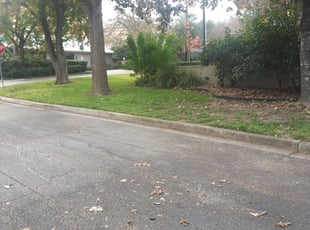 Leaf Removal by Jason Westgor for Carter S. in Terrell Hills, TX
