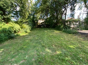 Stephen C.'s Grass Cutting service result