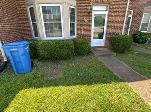 Bush Trimming by Kyle Richardson for Heba G. in Chesapeake, VA