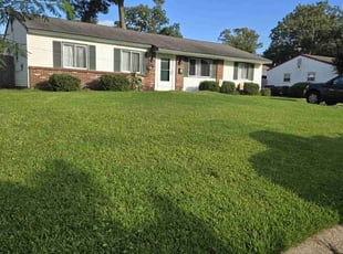 Michael H.'s Yard Cutting service result