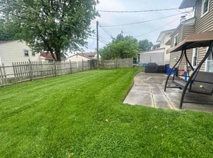 Faustina J.'s Lawn Mowing Service service result