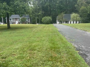 Latysha A.'s Lawn Mowing service result