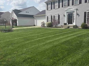 Lori F.'s Lawn Care service result