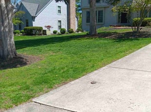 Perriann R.'s Lawn Service service result