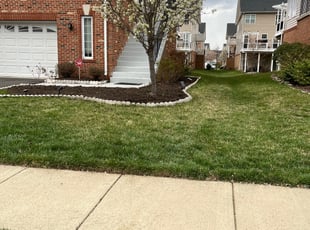 Bush Trimming by Alesandre Duarte for Sai Sri Mourya G. in Ashburn, VA