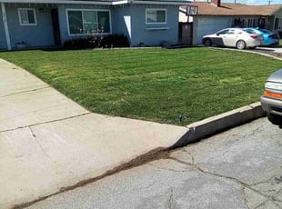NAKISHA W.'s Lawn Service service result