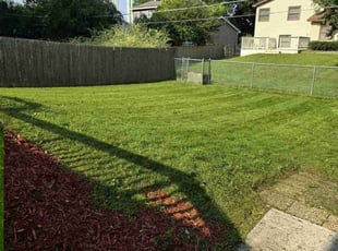 Irma D.'s Lawn Mowing Service service result