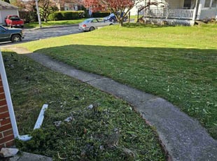 Kristin T.'s Grass Cutting service result