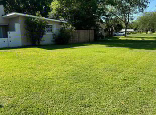 Alicia K.'s Lawn Mowing Service service result