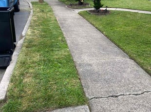 Crystal H.'s Lawn Service service result