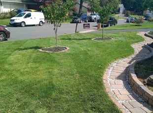 Lauren F.'s Lawn Mowing Service service result