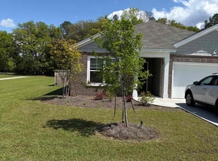 Kim S.'s Lawn Care service result