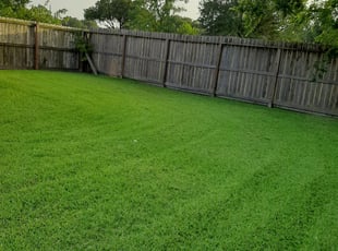 Julian W.'s Lawn Service service result