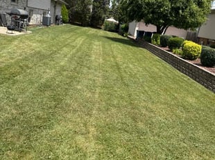 Charles C.'s Lawn Mowing Service service result