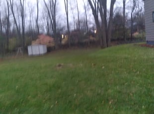 Leaf Removal by Kema Ndebay for Nadeem G. in Fayetteville, NY