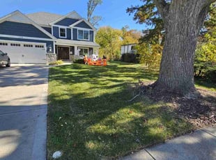 Andreco C.'s Lawn Mowing service result