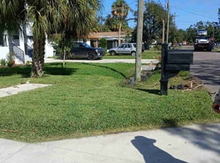 JOSE N.'s Lawn Service service result