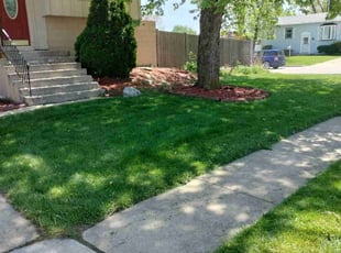 Polly B.'s Lawn Mowing service result