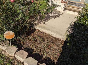 Weeding by Valery Wahl for Christina B. in San Antonio, TX