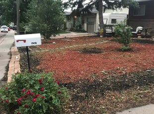 Cleanups by Jamill Pacheco for Christopher B. in Colorado Springs, CO