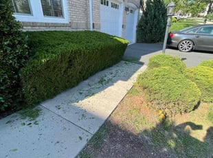 Bush Trimming by Eduardo Guzman for Bob M. in Ashburn, VA