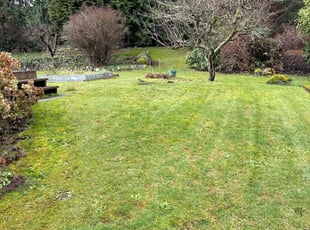 Jennifer T.'s Lawn Maintenance service result