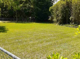Tom S.'s Lawn Service service result