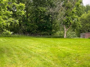 Melvin W.'s Lawn Service service result
