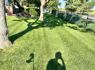 Carlette B.'s Lawn Service service result
