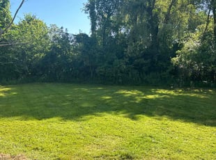 Nicole B.'s Lawn Care service result