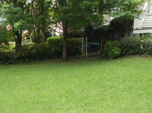 Bush Trimming by Gerald Oyerindr for Joseph V. in Atlanta, GA
