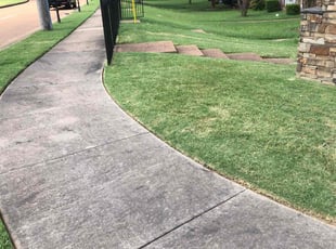 Hitomi K.'s Yard Cutting service result