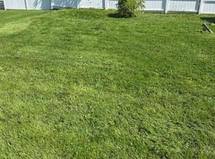 Cleanups by Annette Choates for Beth N. in Buffalo, NY