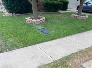 Ashraf S.'s Lawn Mowing Service service result
