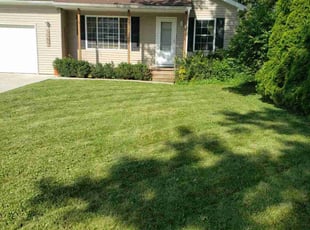 Theodore P.'s Lawn Mowing service result