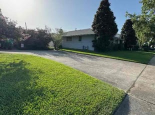 Leaf Removal by Akeem Lewis for Jeff B. in Metairie, LA