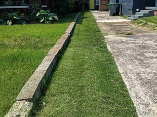 Clifford A.'s Lawn Mowing Service service result