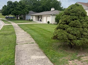 Dan S.'s Lawn Mowing Service service result