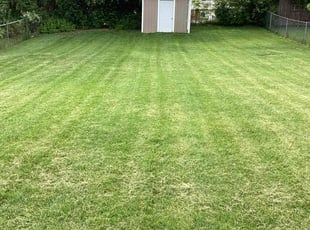 James L.'s Grass Cutting service result
