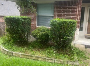 Bush Trimming by Beau Kirtner for My L. in San Antonio, TX