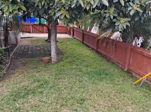 Beth D.'s Lawn Mowing service result