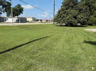Leroy Tina F.'s Yard Cutting service result