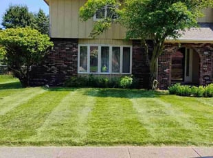 Abazar R.'s Lawn Care service result