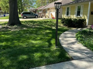 Thomas B.'s Yard Cutting service result