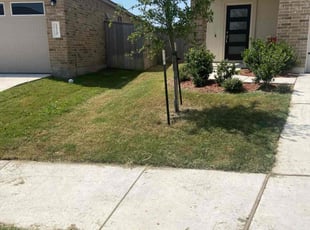Yi E.'s Lawn Mowing service result