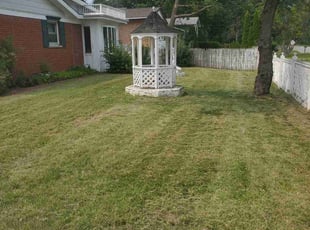 Marv S.'s Lawn Care service result