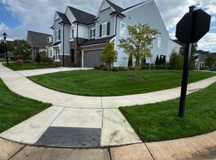 Chris S.'s Lawn Mowing service result